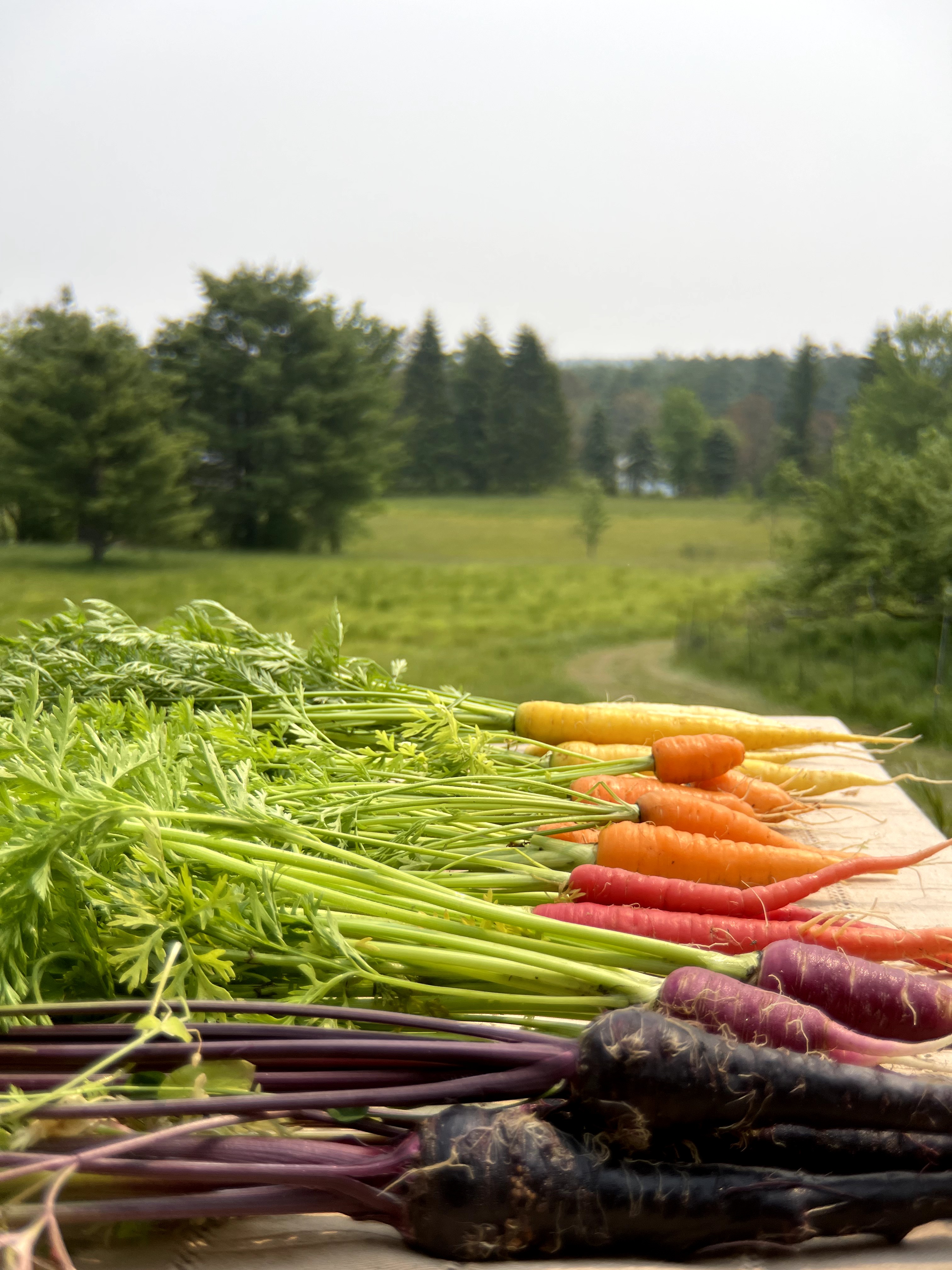 Farm photo 2